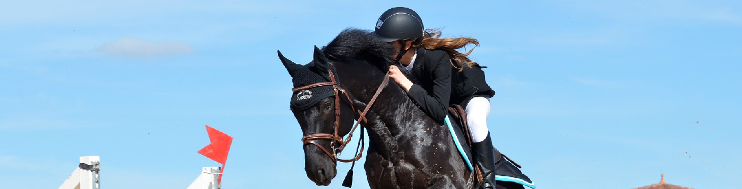 Guide des tailles équitation